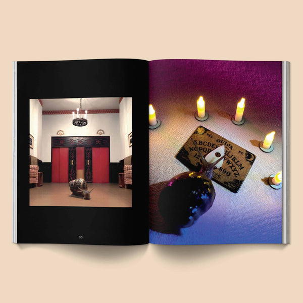 Snail World 2: Welcome to Slimetown Coffee Table Book - Space Camp