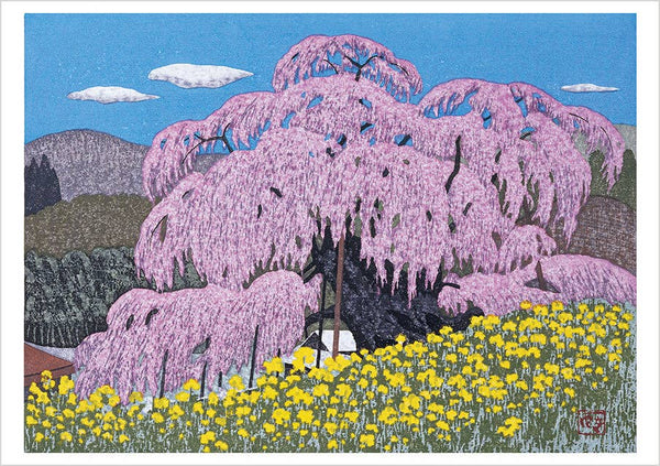Cherry Trees Boxed Notecard Assortment by Kazuyuki Ohtsu
