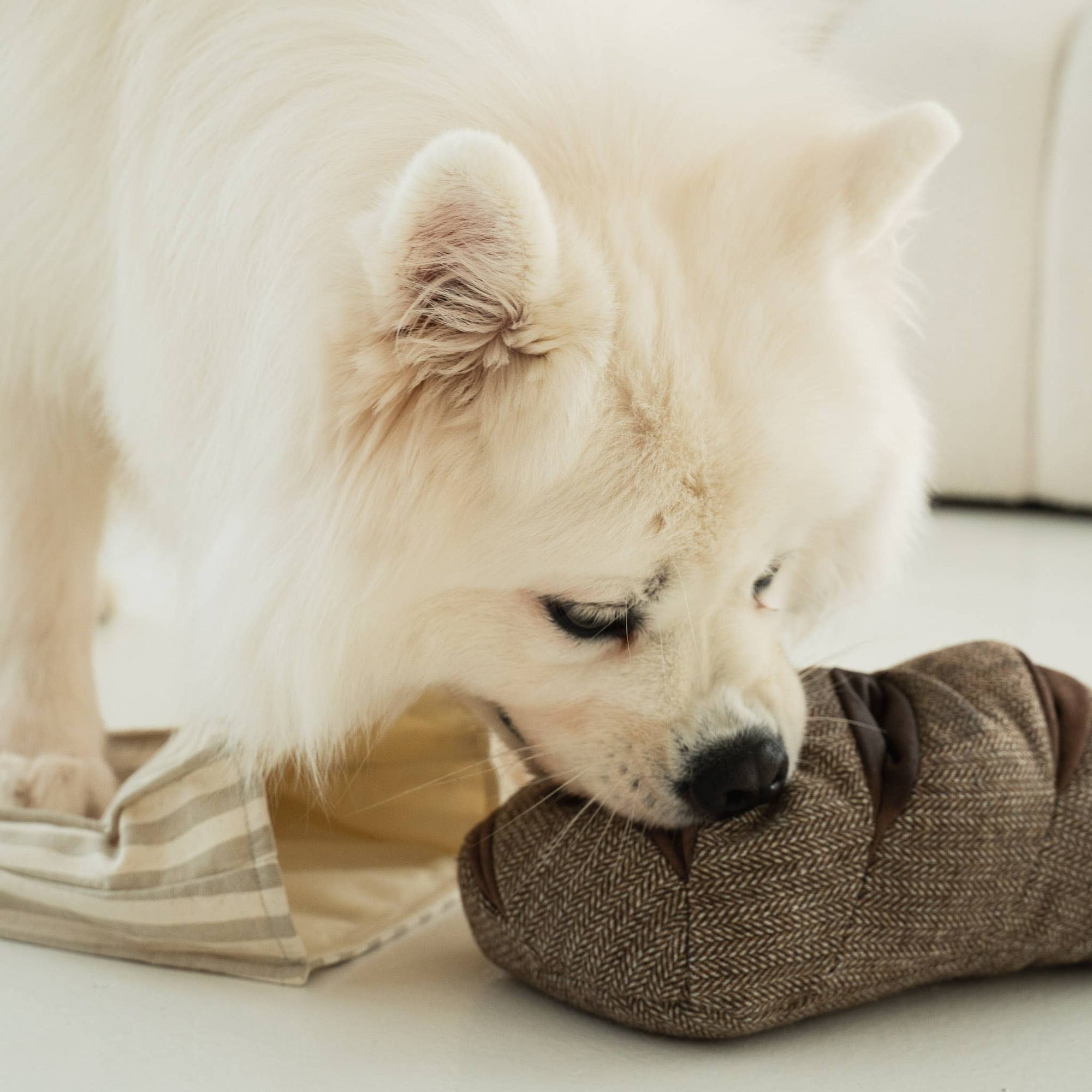 Lambwolf Collective - Enrichment Snuffle Toy - Rye
