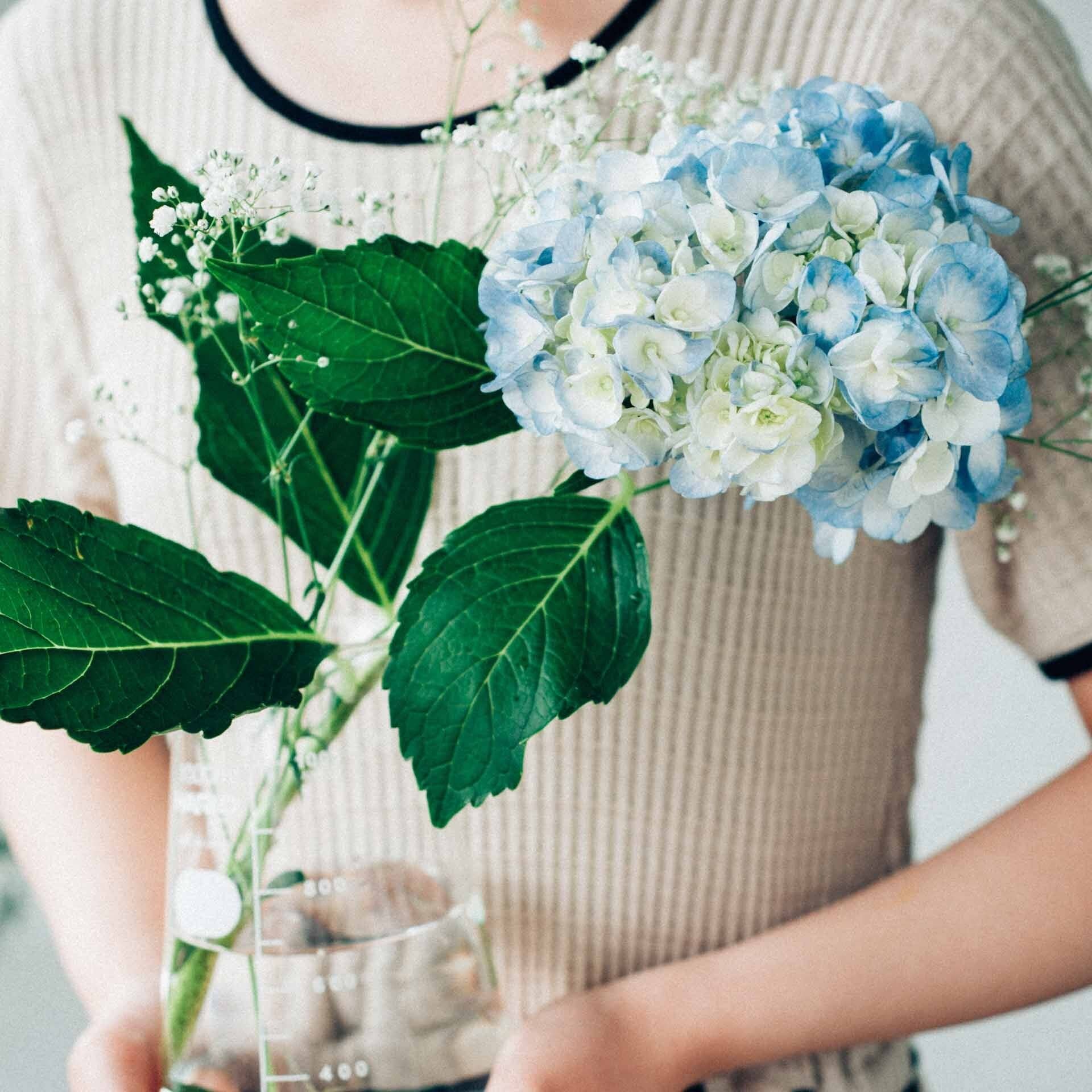 Hario - Conical Beaker Vase