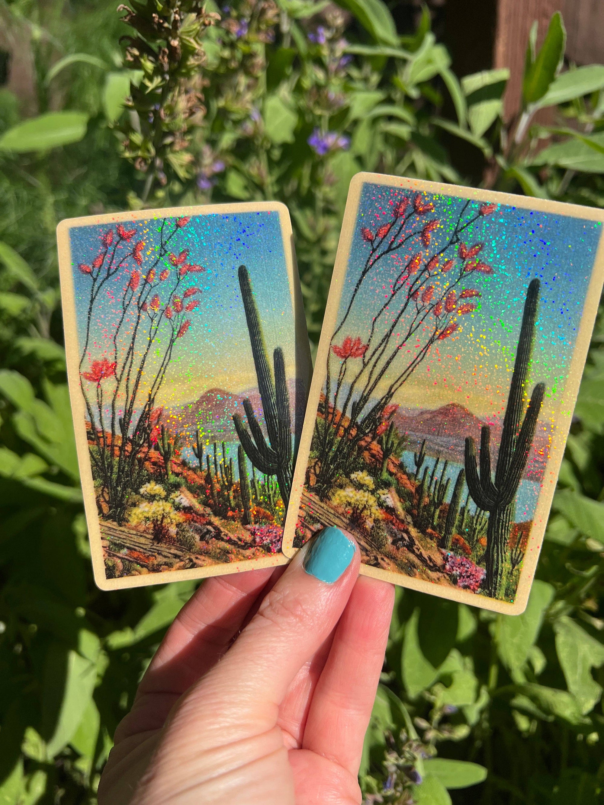 Desert Plants - Sticker