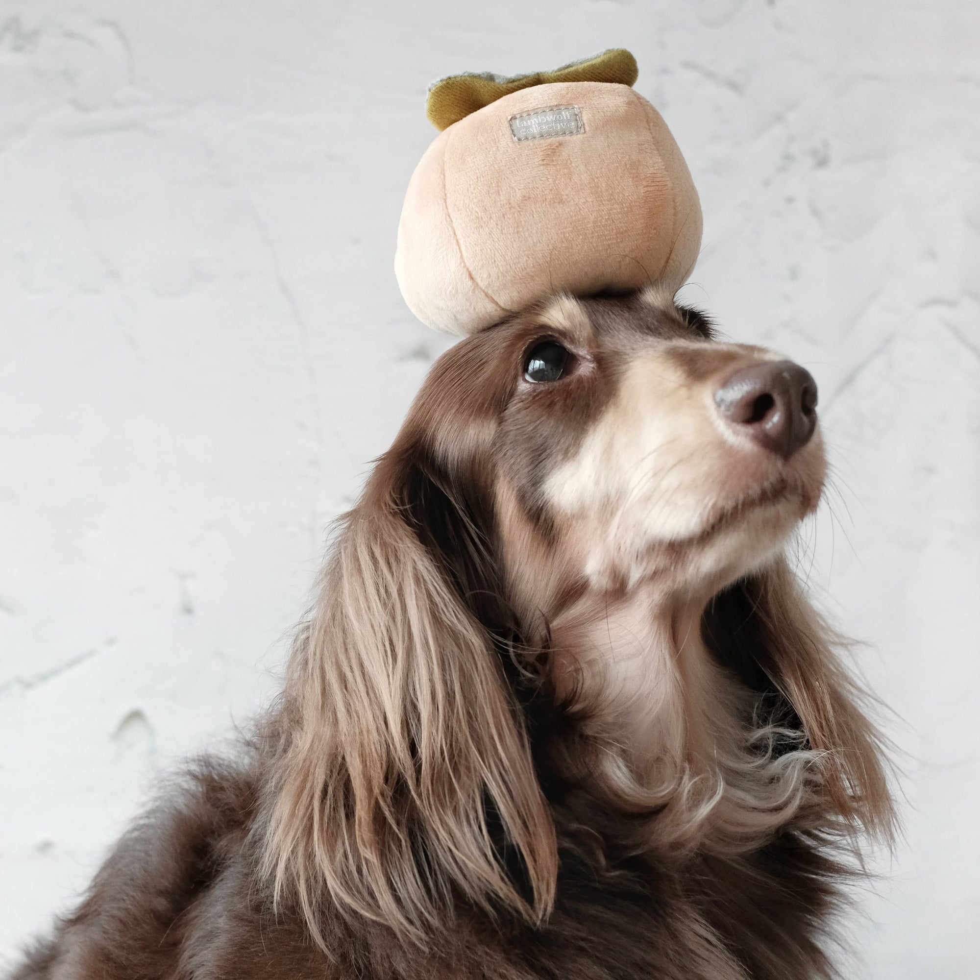 Lambwolf Collective - Enrichment Snuffle DogToy - Persimmon