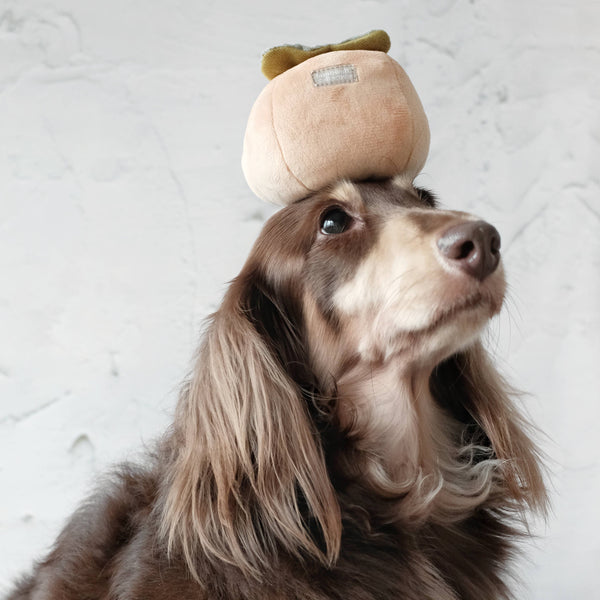 Lambwolf Collective - Enrichment Snuffle Dog Toy - Persimmon
