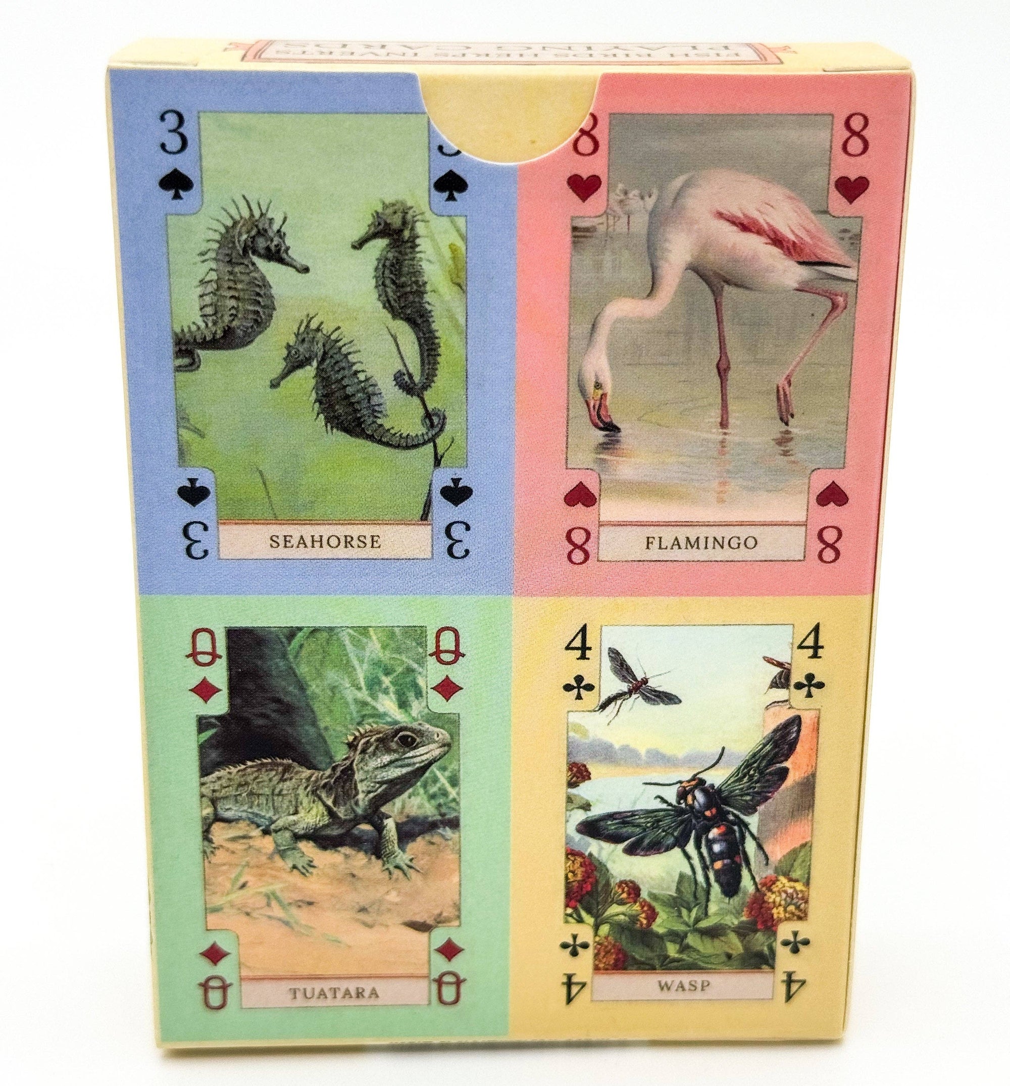 Vintage Art Playing Cards - Fish, Birds, Herps, and Inverts
