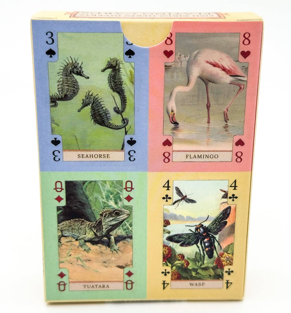 Vintage Art Playing Cards - Fish, Birds, Herps, and Inverts