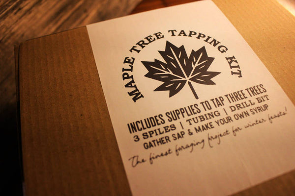 Maple Tree Tapping Kit - Make Your Own Maple Syrup DIY Kit! - Space Camp