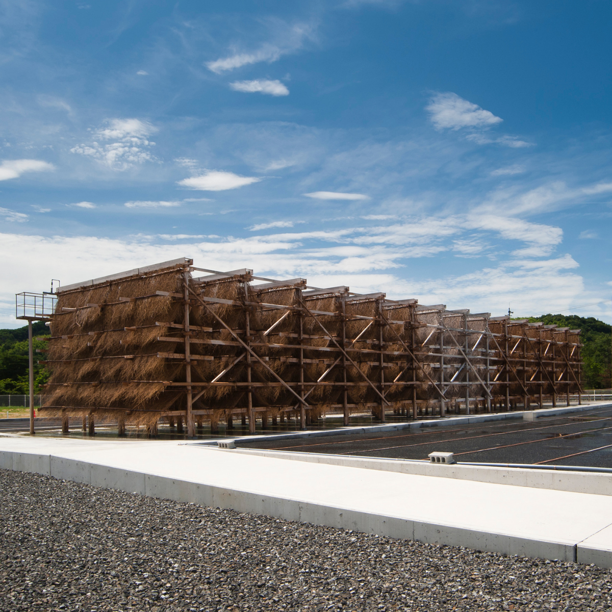 Moshio "Saredoshio" (Japanese Seaweed Salt)