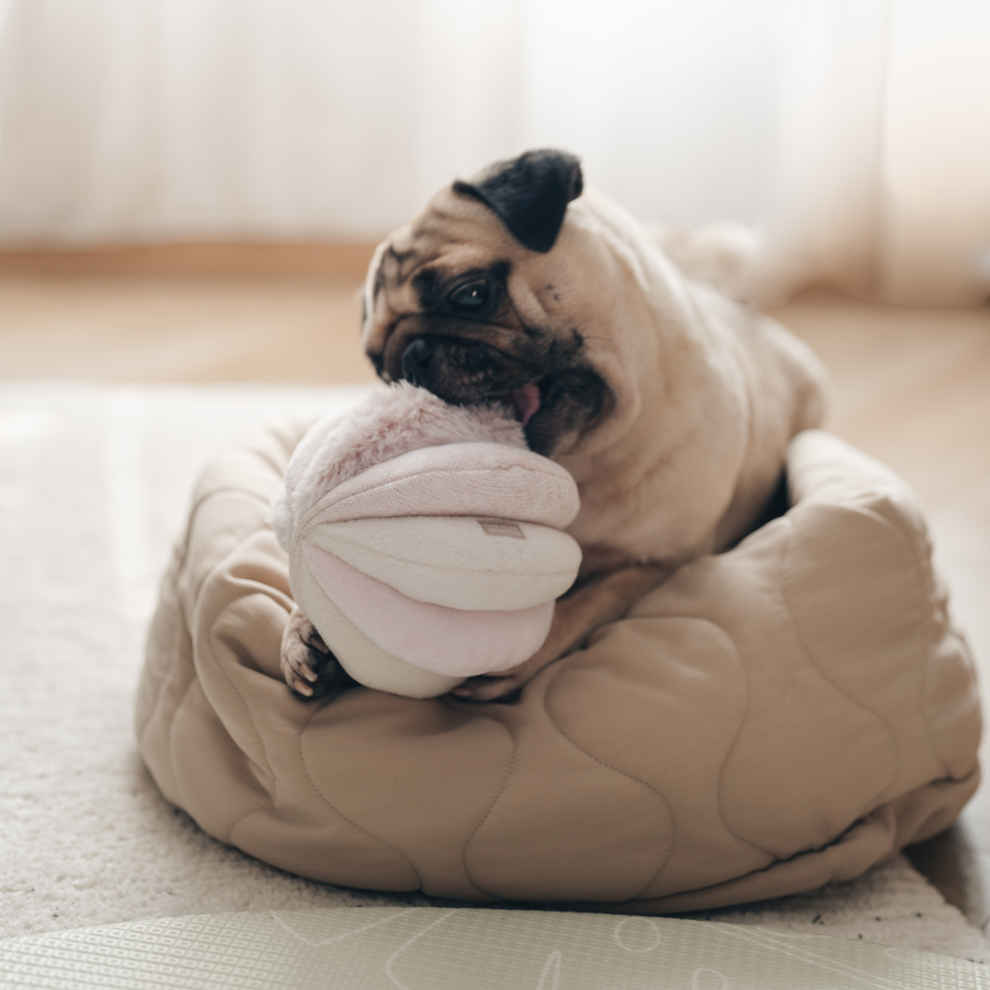Lambwolf Collective - TOTO // ENRICHMENT DOG TOY // Snuffle Ball : PINK