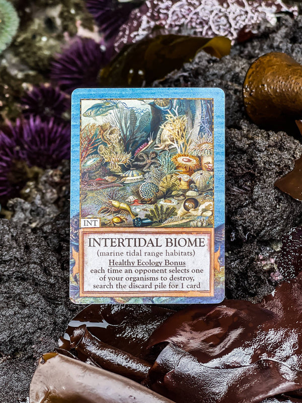 Ecologies: Hidden Habitats - Card Game