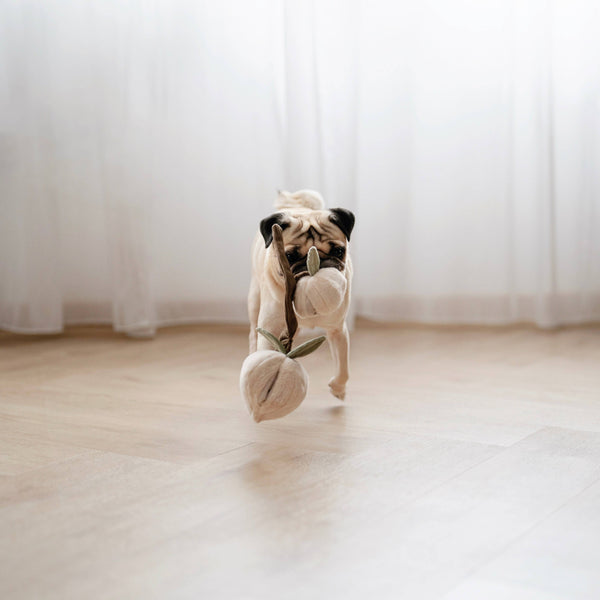 Lambwolf Collective - Enrichment Dog Toy - Momo