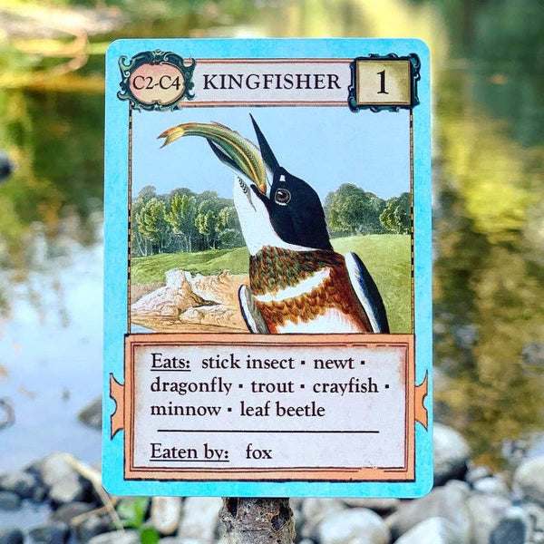 Ecologies: Bizarre Biomes - Card Game