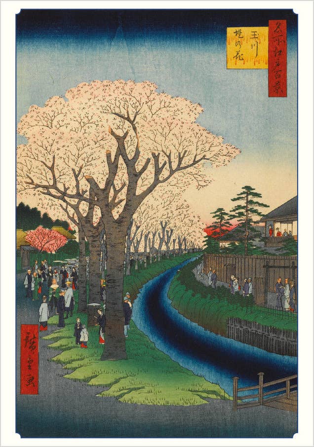 Hiroshige: Cherry Blossoms Boxed Notecard Assortment