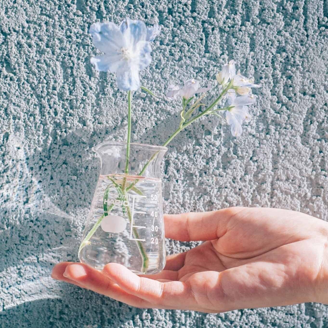 Hario - Conical Beaker Vase