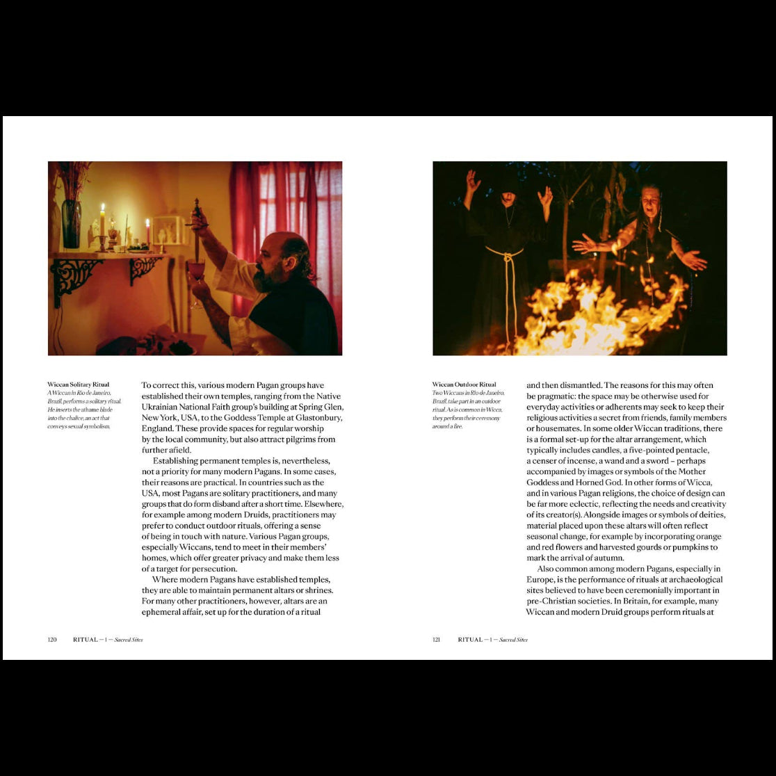 Pagans: The Visual Culture of Pagan Myths, Legends and Rituals by Ethan Doyle White