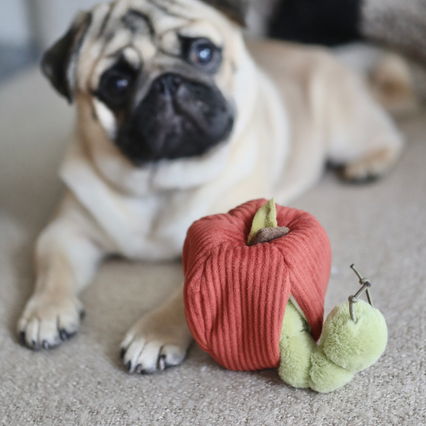 Lambwolf Collective - Snuffle + Burrow Enrichment Dog Toy Set - Apple