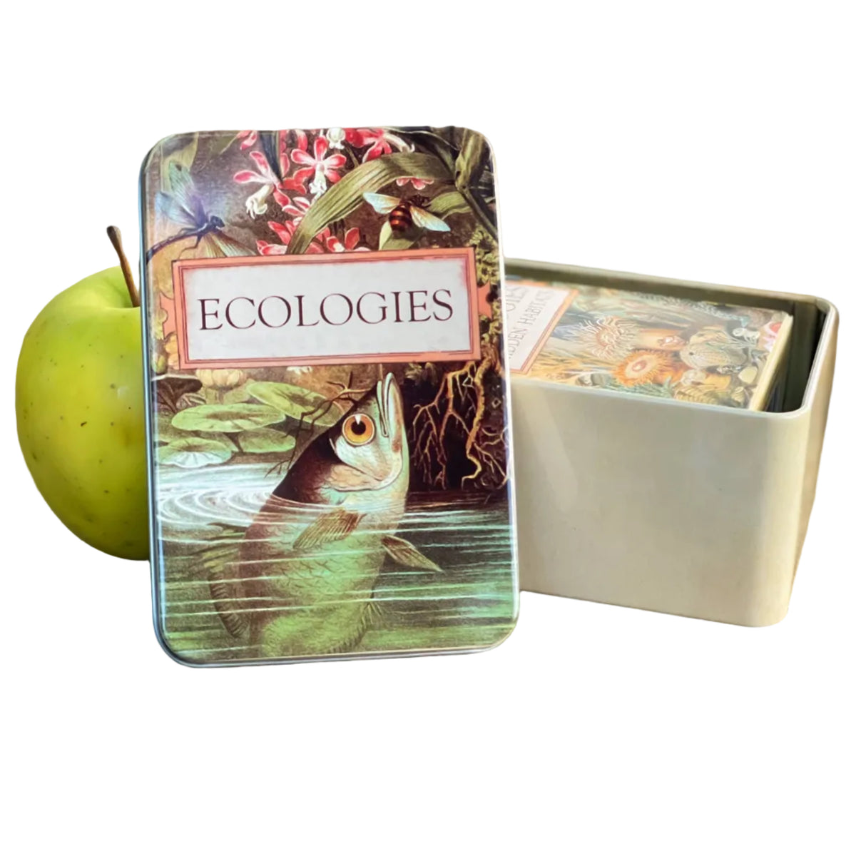Ecologies Card Game Metal Tin - Archerfish Image
