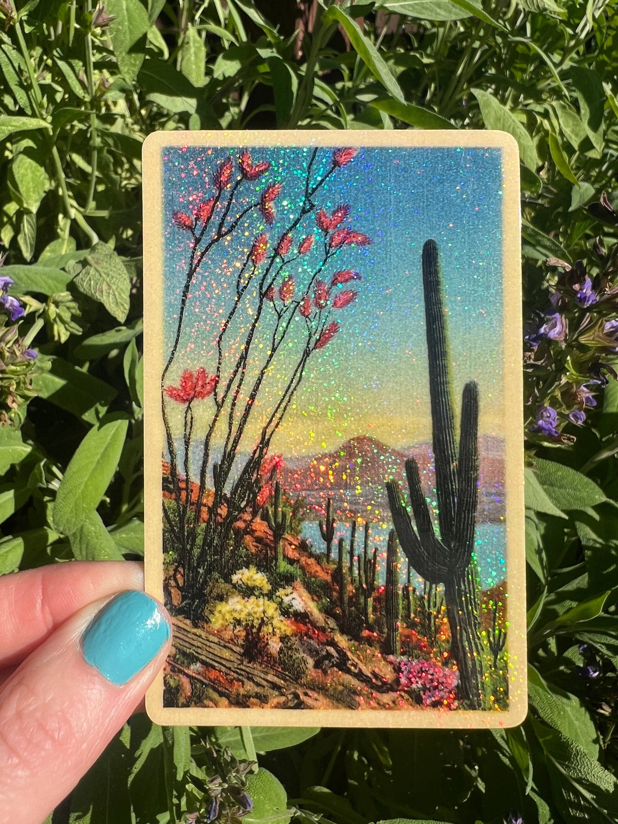 Desert Plants - Sticker
