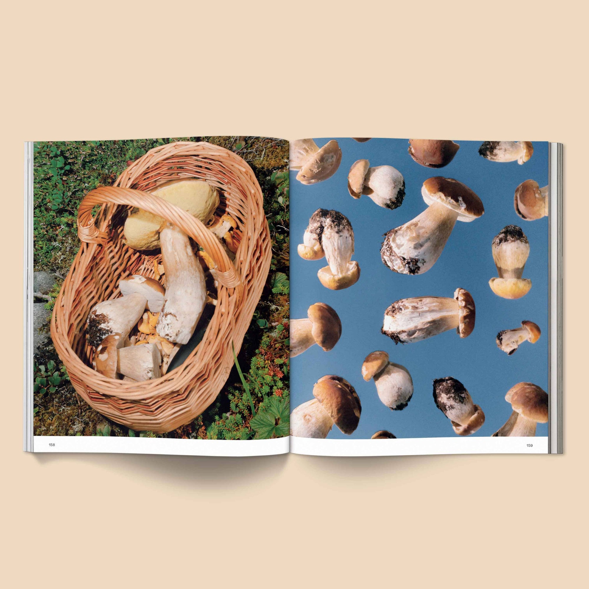 Spores: Magical Mushroom Photography Book - Space Camp