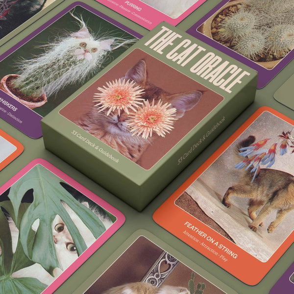 The Cat Oracle & Guidebook