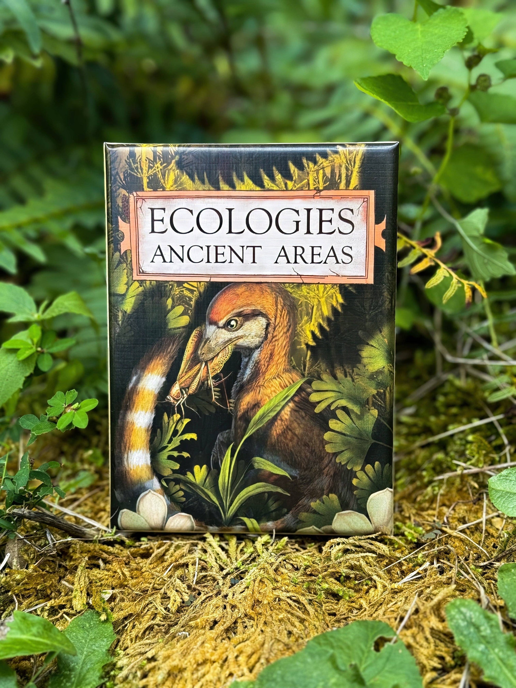 Ecologies: Ancient Areas - Card Game