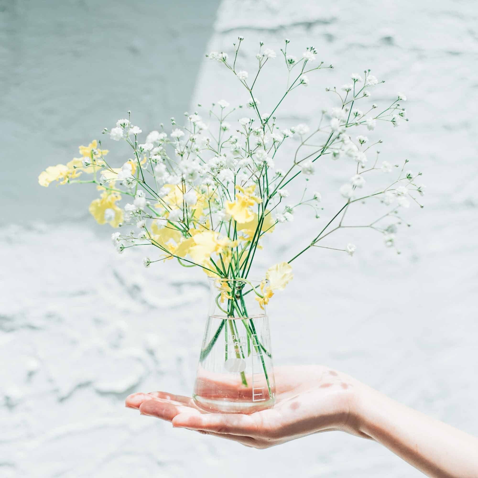 Hario - Conical Beaker Vase