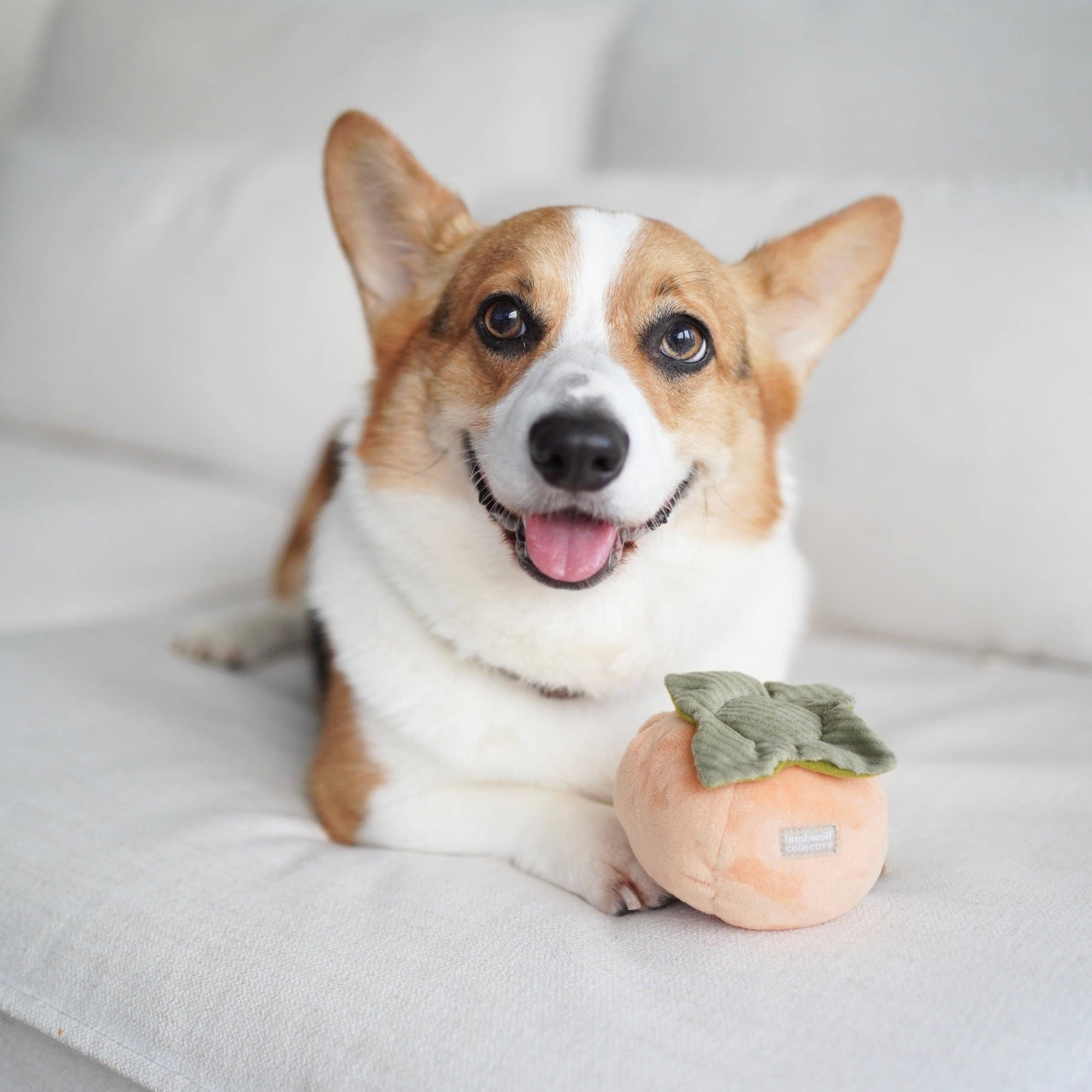 Lambwolf Collective - Enrichment Snuffle DogToy - Persimmon