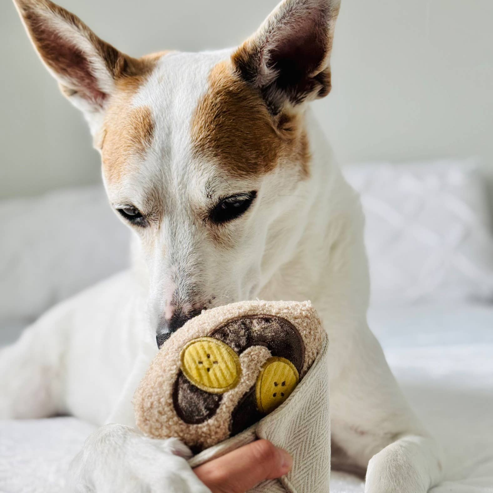 Lambwolf Collective - CREPE // ENRICHMENT DOG TOY // SNUFFLE TOY