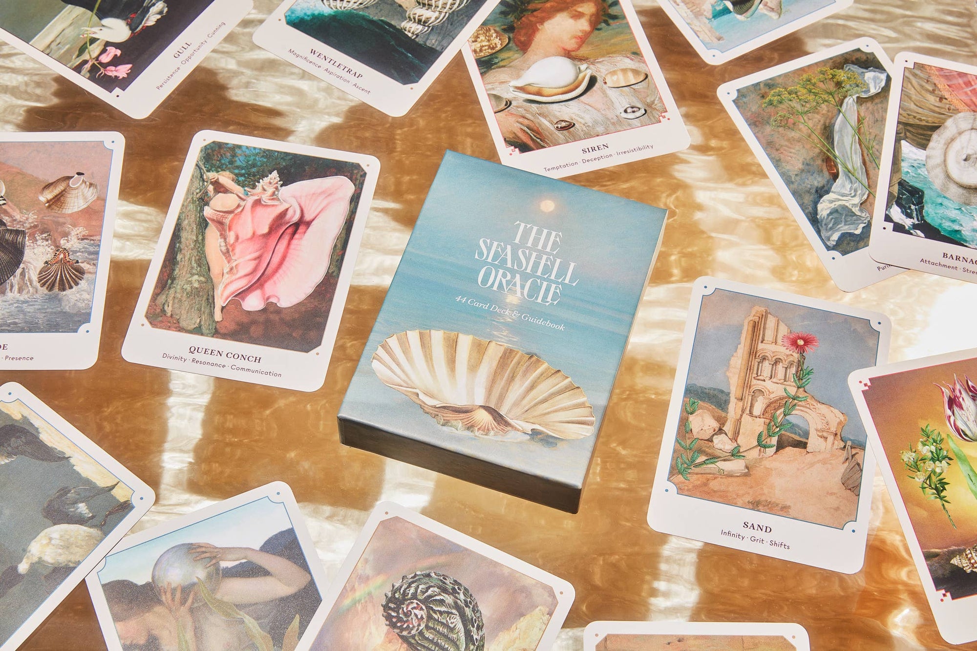 The Seashell Oracle: 44 Card Deck and Guidebook - Space Camp