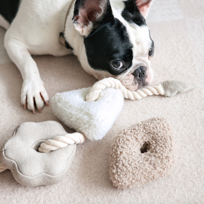 Lambwolf Collective - BLOCS//ENRICHMENT DOG TOY // NUDE