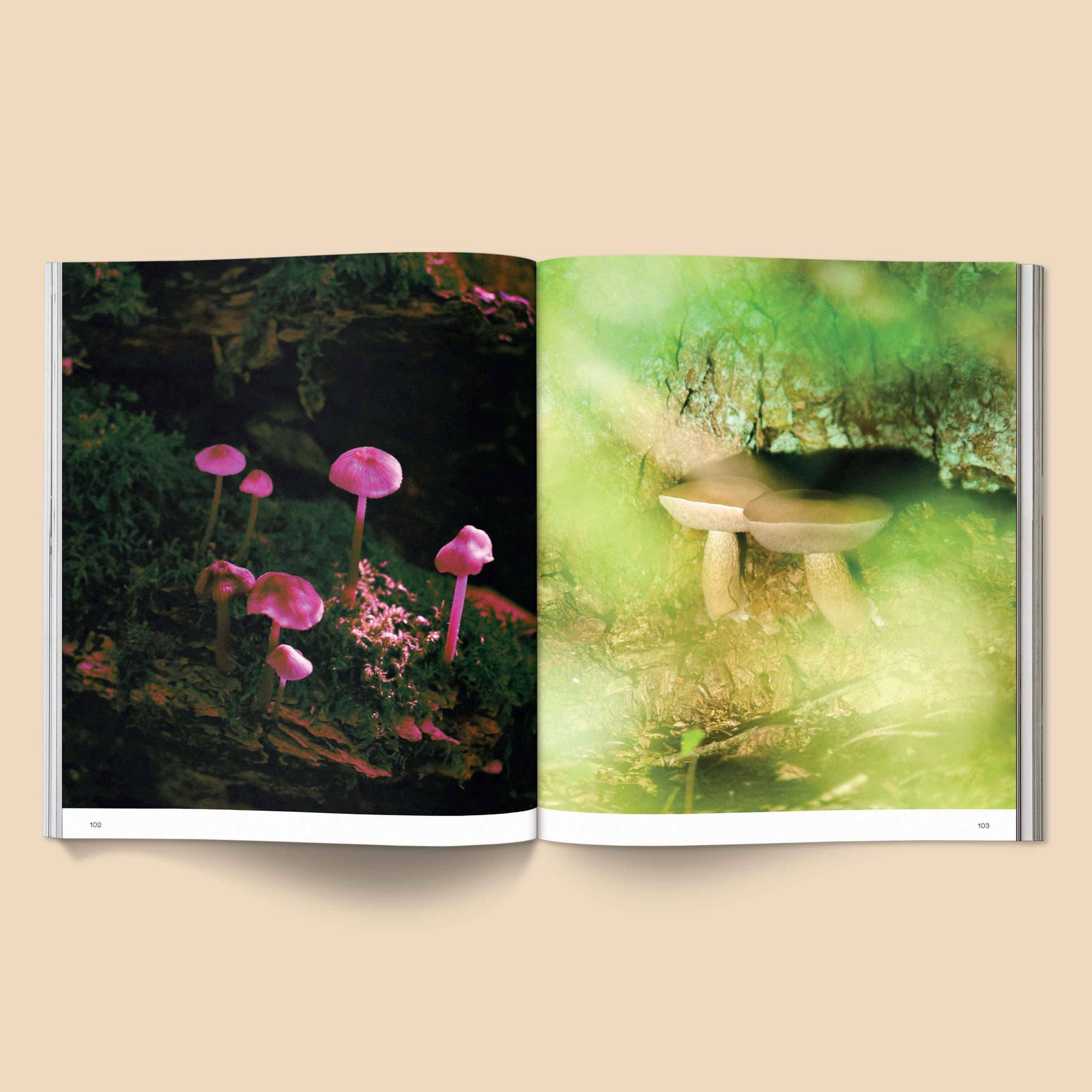 Spores: Magical Mushroom Photography Book - Space Camp