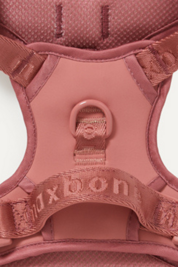 maxbone - Go! With Ease Leash Bundle - Rosewood