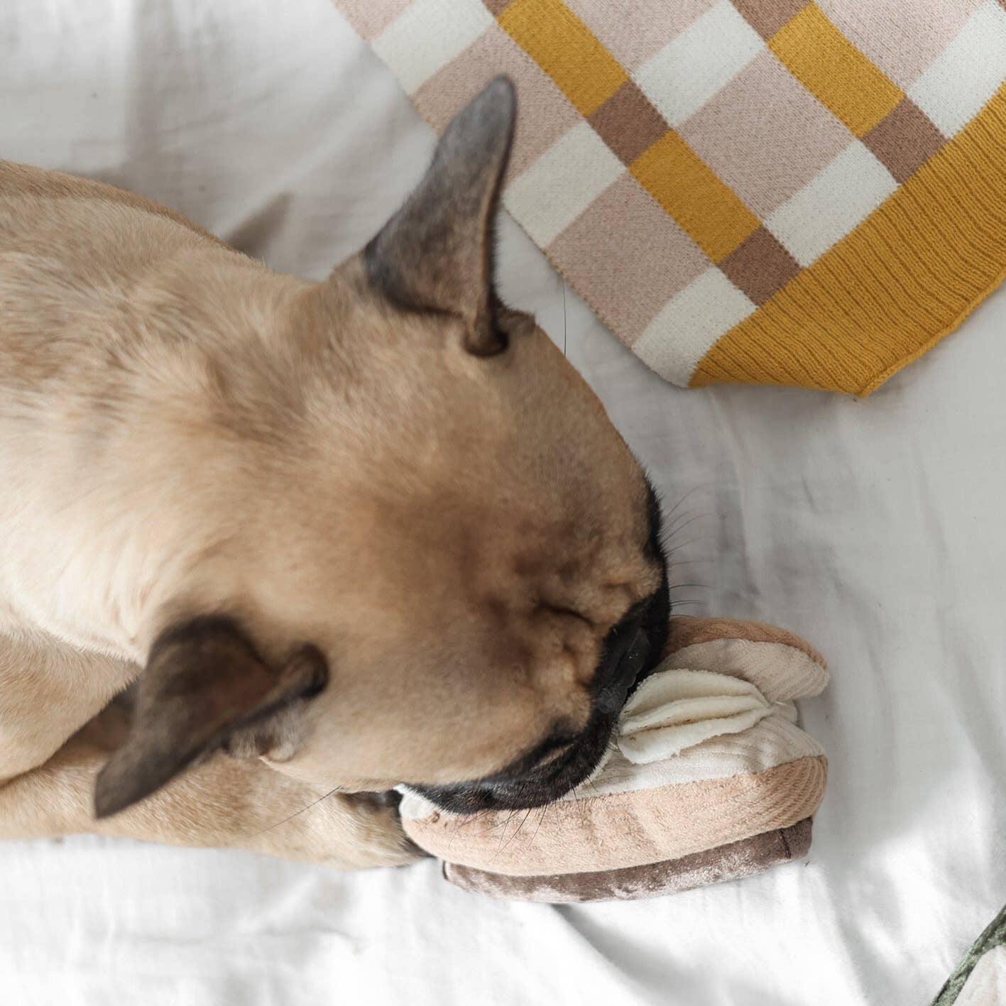 Lambwolf Collective - Enrichment Snuffle Dog Toy - Eclair