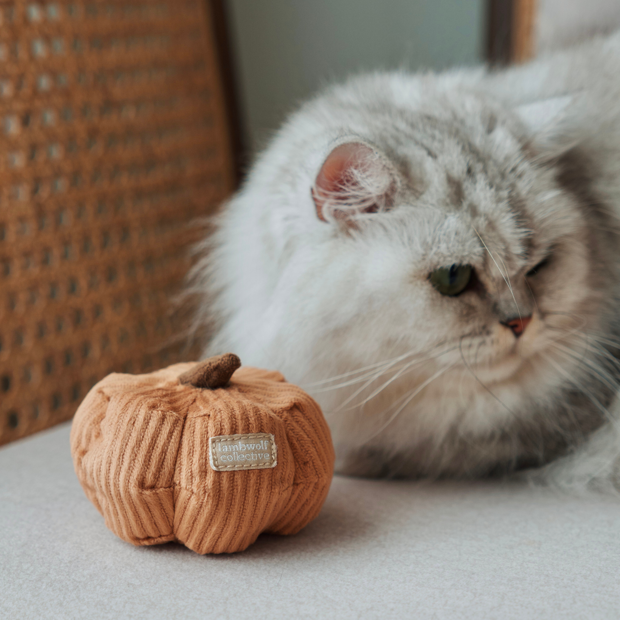 Lambwolf Collective -  Catnip Cat Toys - Kitty Veggie Set