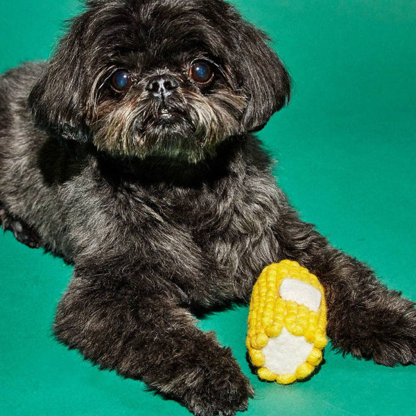 Ware of the Dog - Felted Wool Dog Toy - Corn