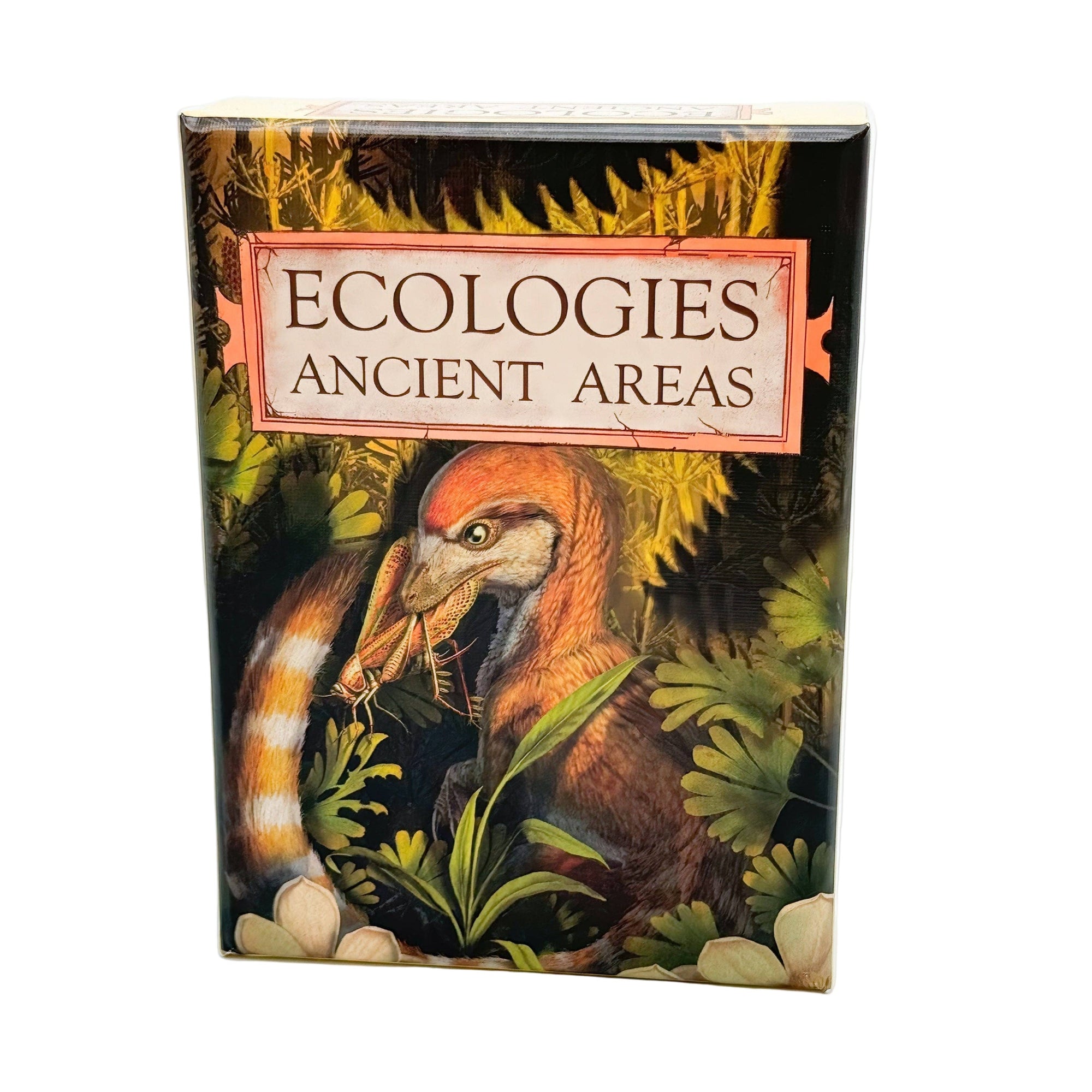Ecologies: Ancient Areas