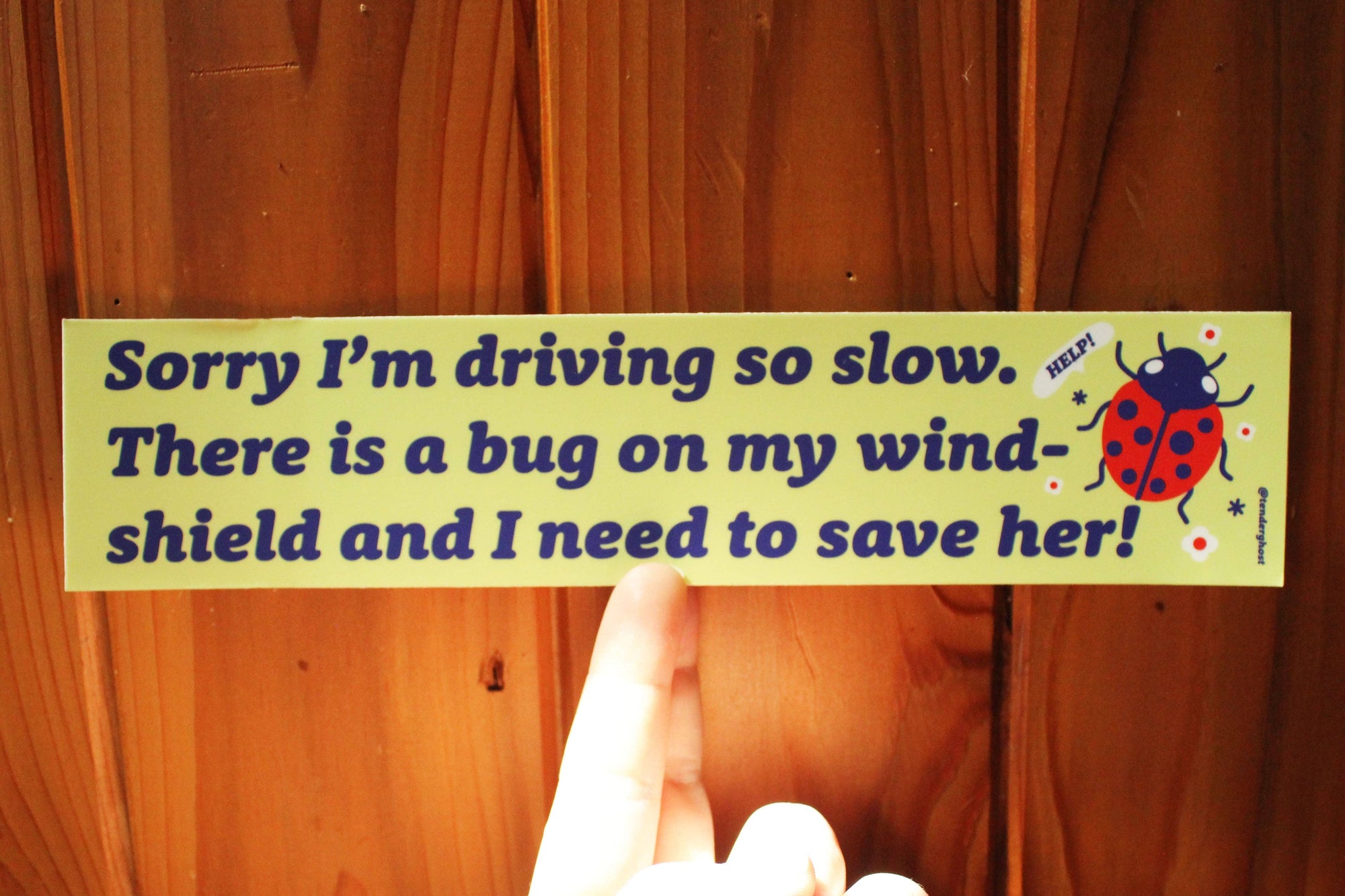 Bug On My Windshield Bumper Sticker - Space Camp