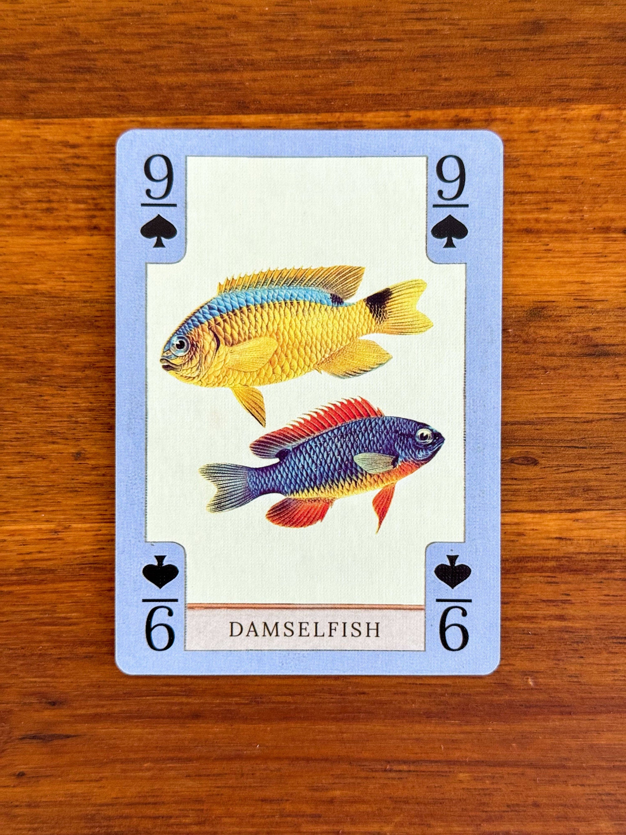 Vintage Art Playing Cards - Fish, Birds, Herps, and Inverts