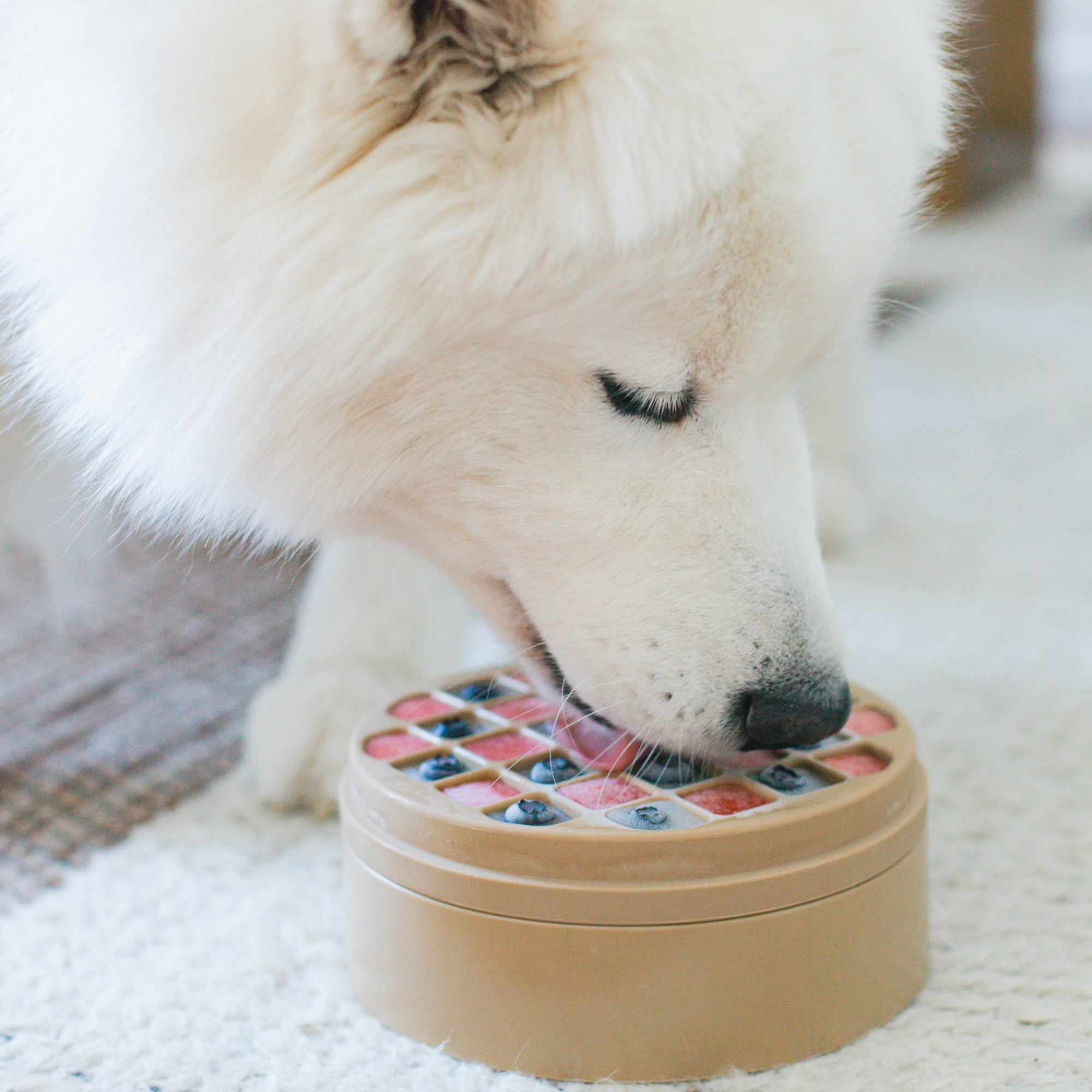 Lambwolf Collective - 3-IN-1 Bento - Lick Mat & Slowfeeder - Tan