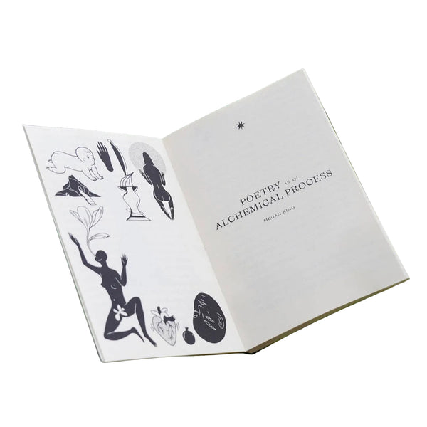 Poesis - Visions in Verse Book - Space Camp