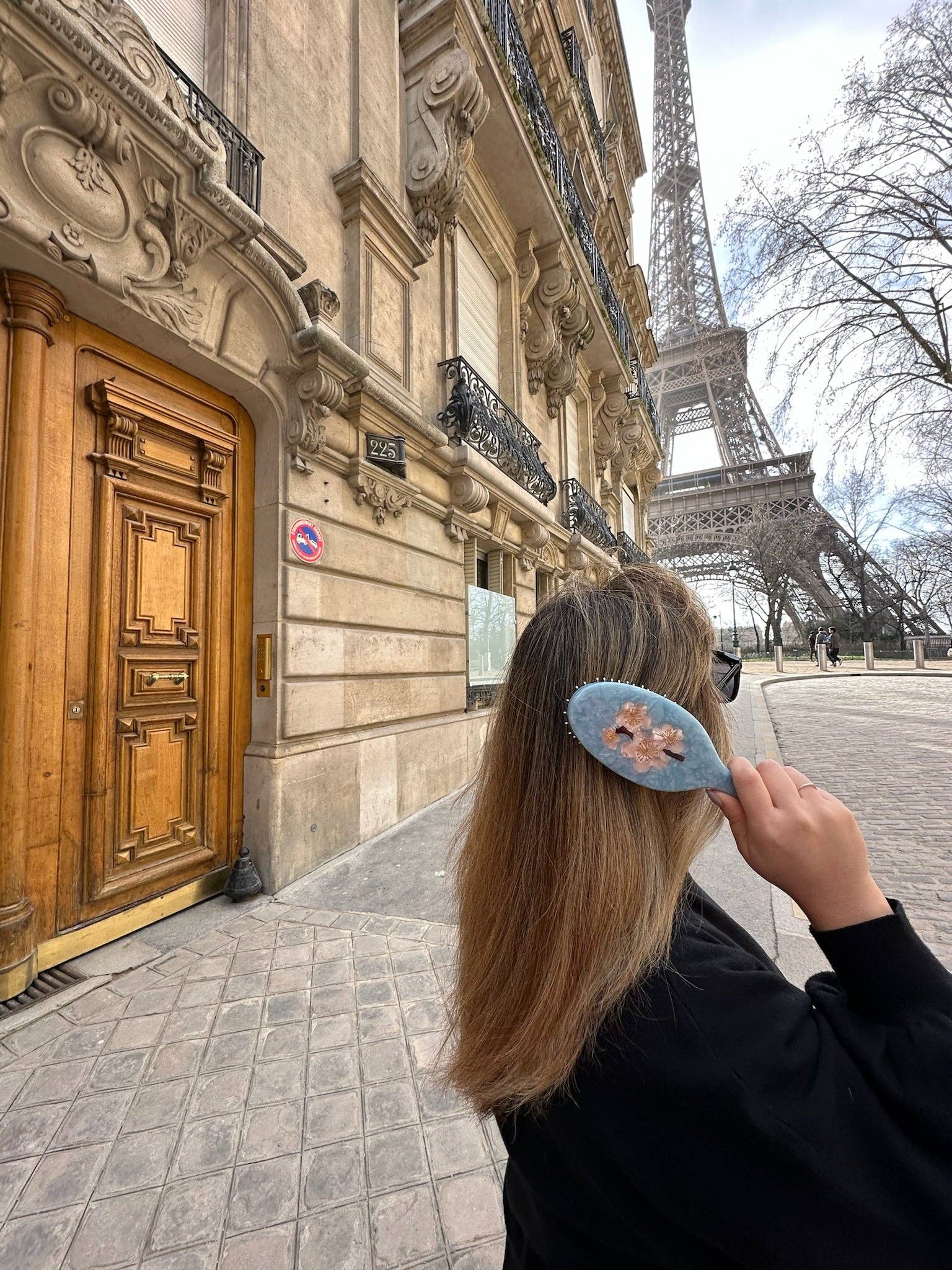 Solar Eclipse - Hand-painted Cherry Blossom Amazing Hair Day Brush