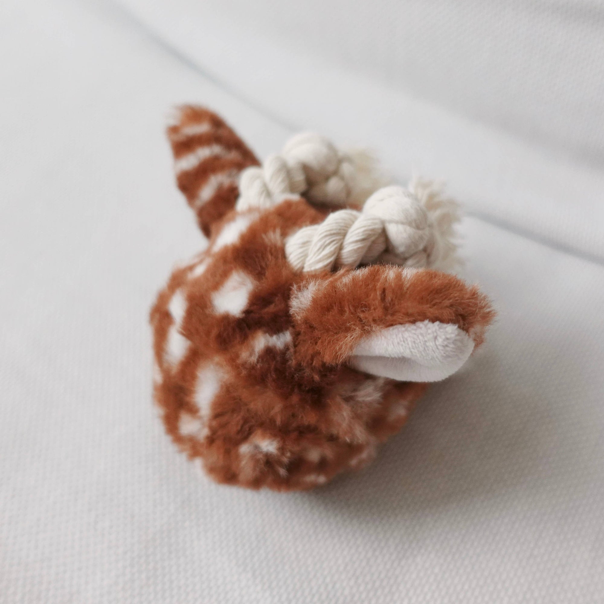 Lambwolf Collective - Enrichment Medium Squeaky Ball Toy-  Fawn Pop