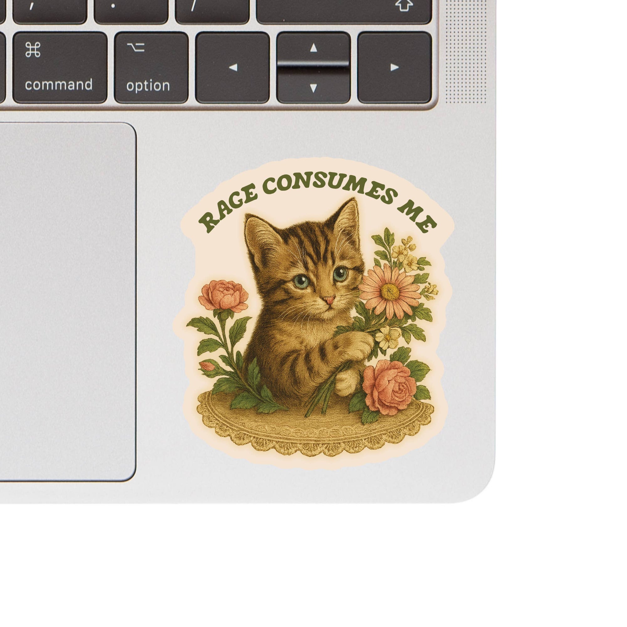 Juju and Moxie - Feisty Kitty Cat Sarcastic Cute High Quality Vinyl Sticker