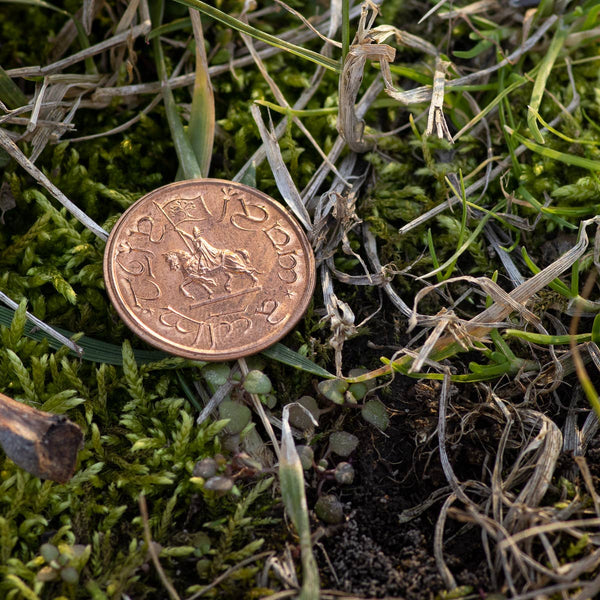 The Lord of the Rings™ GONDOR™ Copper Penny