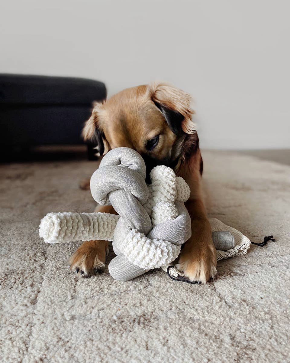 Lambwolf Collective - Nou - Enrichment Dog Toy - Grey at Space Camp in Portland, Oregon