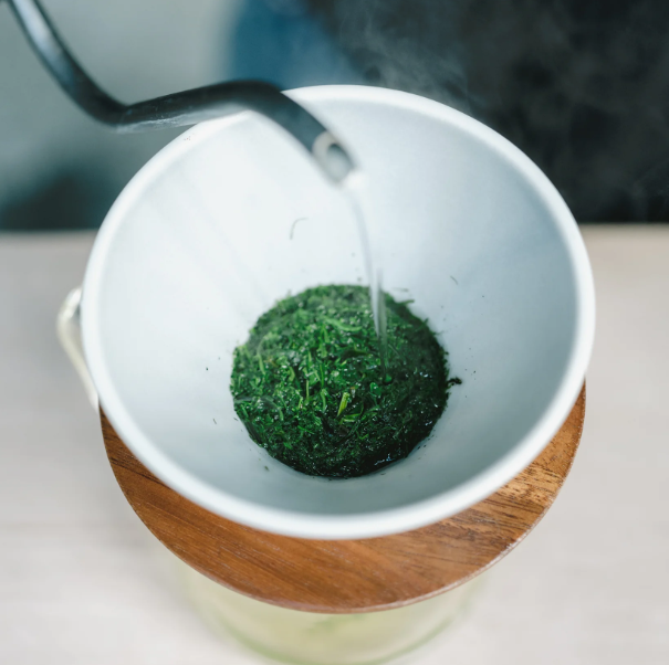 Origami - Tea Dripper - Matte Green