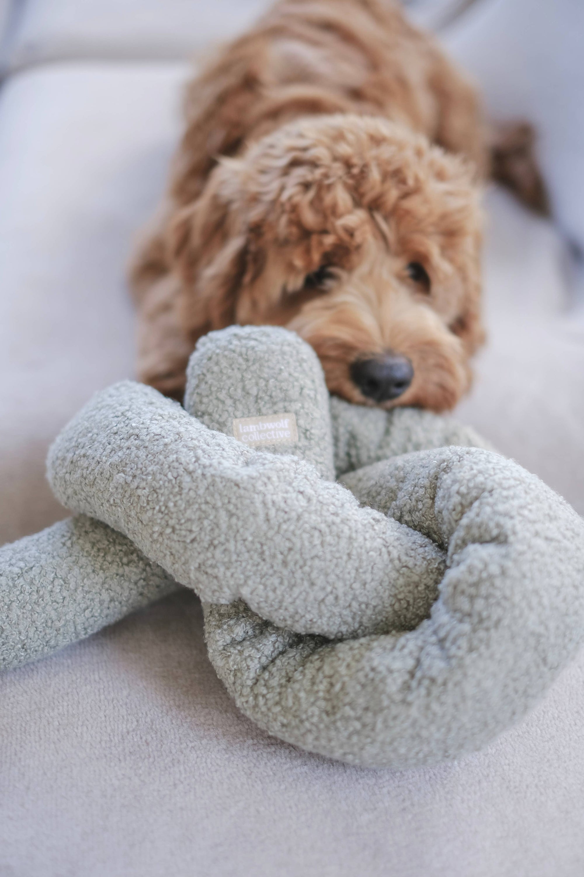 Lambwolf Collective - O Nou Enrichment Toy - Oversized Oat