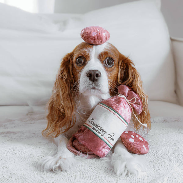 Lambwolf Collective - ENRICHMENT DOG TOY - SAUCISSON SEC