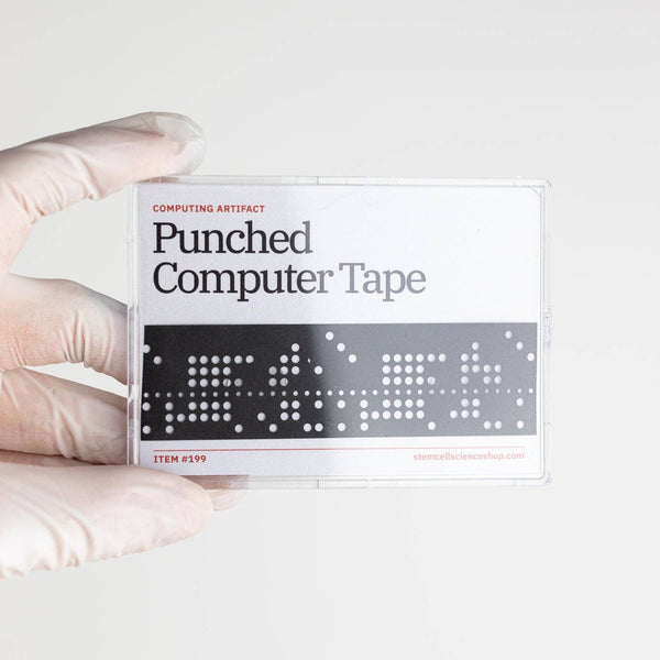 Punched Computer Tape Section