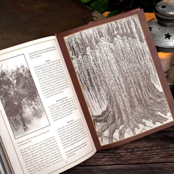 A Dictionary of Tolkien Deluxe Edition by David Day