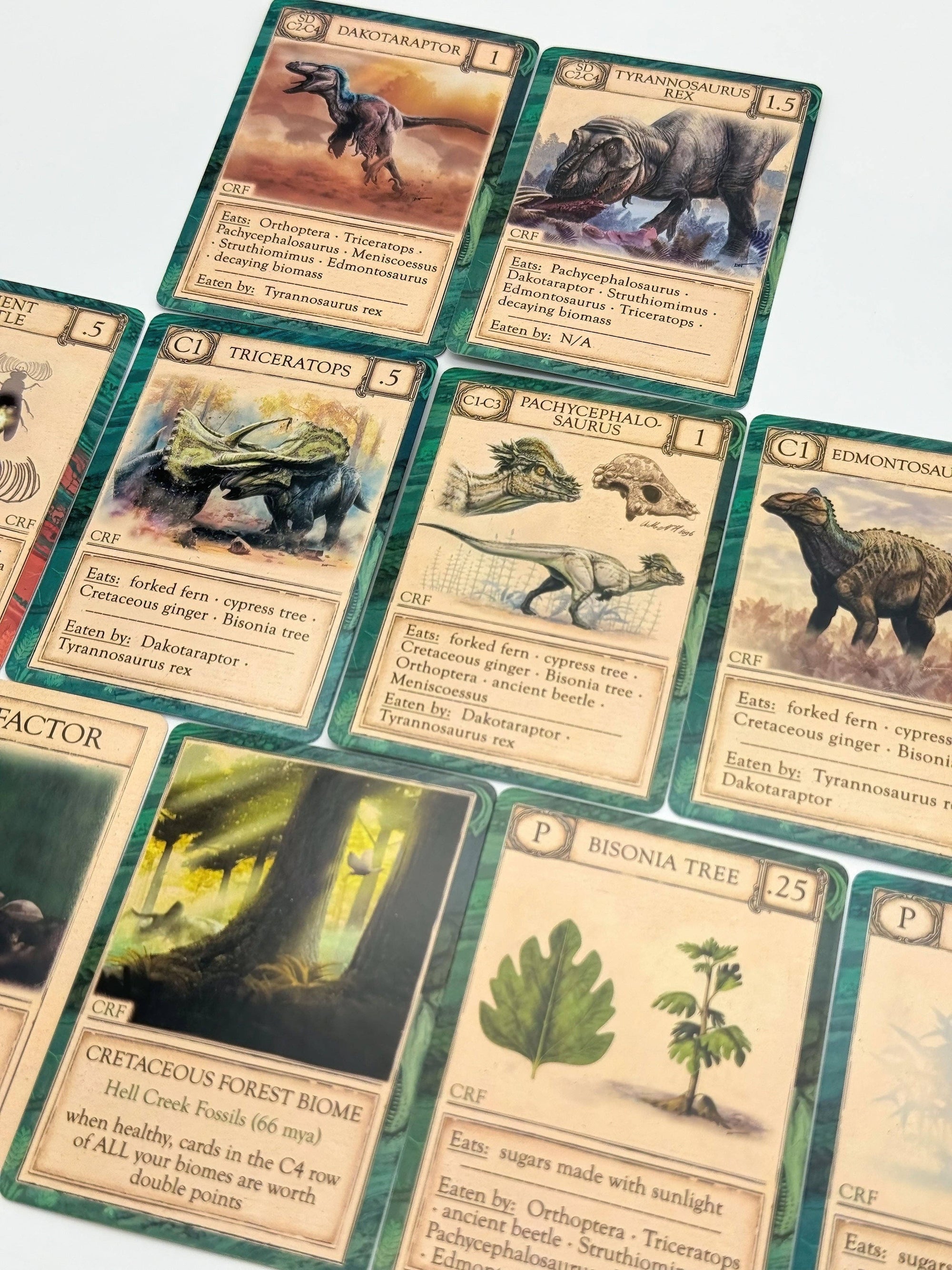 Ecologies: Ancient Areas - Card Game